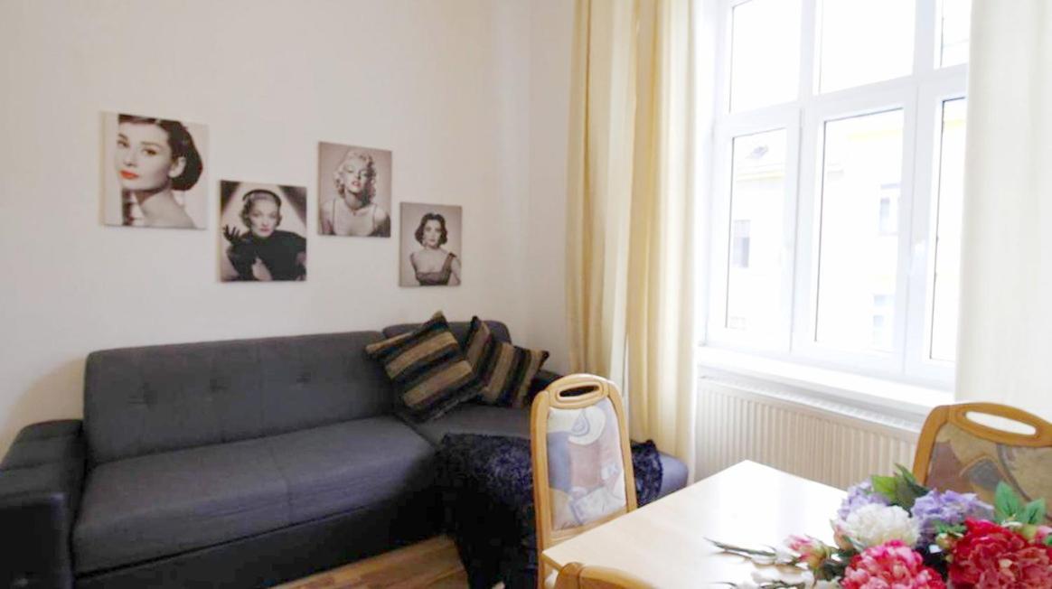 Comfortable Rooms Near Schonbrunn Palace 비엔나 외부 사진